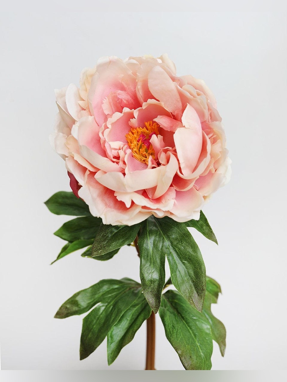 Blush Pink Artificial Peony Stem - Home Accents